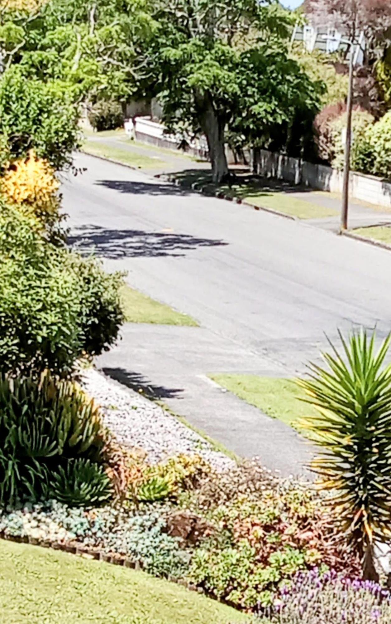 Park View 'Home Away From Home' Feilding Zewnętrze zdjęcie
